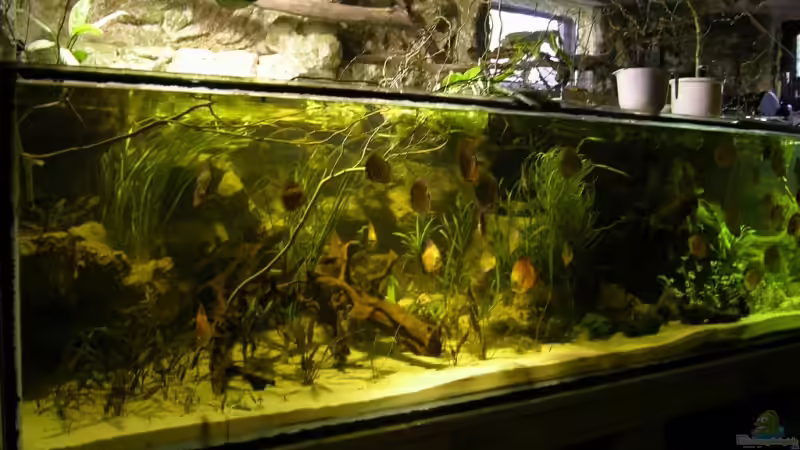 Leider die einzige Perspektive wo sich das Becken als ganzes Fotografieren lässt