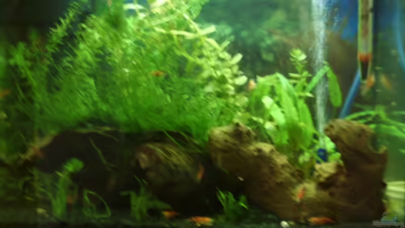 leider etwas unscharf von Matthias Söldner (2)