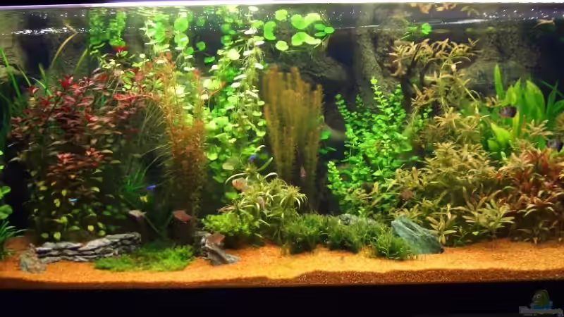 Leider fehlen hier links und rechts jeweils gute 25 cm; ich bekomm das irgendwie von Zork-Nemesis (1)