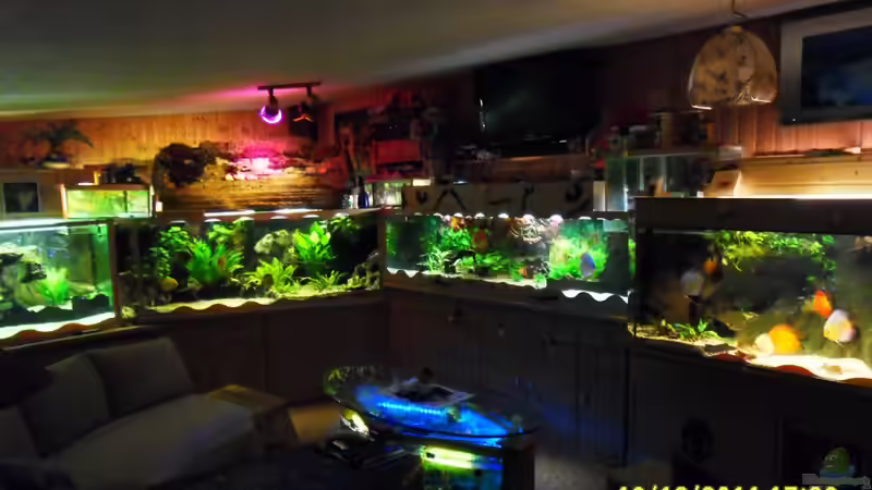 leider zu dunkel von Ulrich Sauerhering (33)