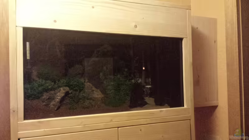 Leisten angebracht von Lucky3310 (26)