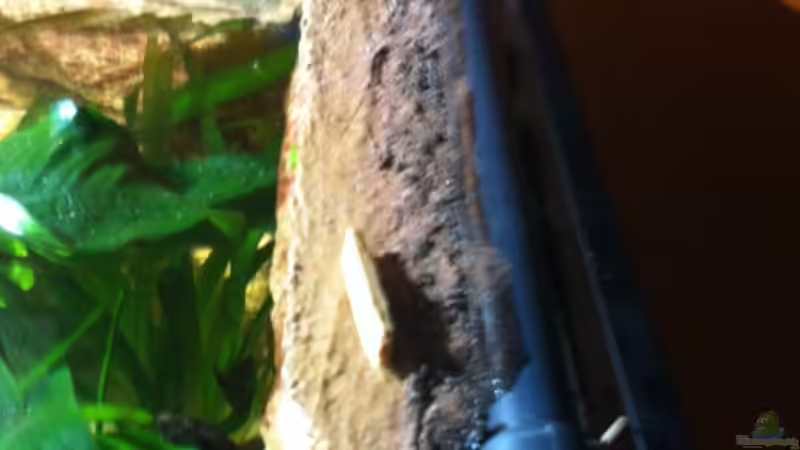 Leitungssysteme Haupt- und Zweitstrom von maxarl (27)