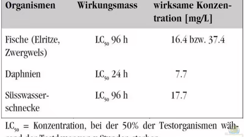 Leitungswasser / vergiftete Fische / FeO2 + Chlor