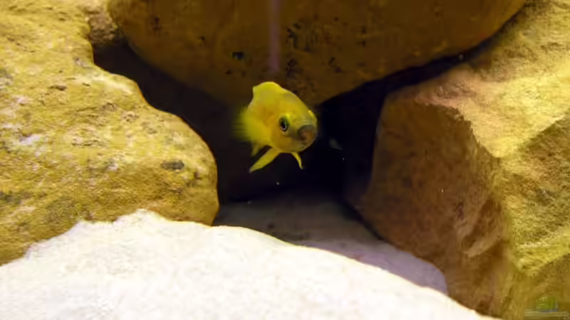 Leleupi in seiner Höhle von Felix Klett (9)