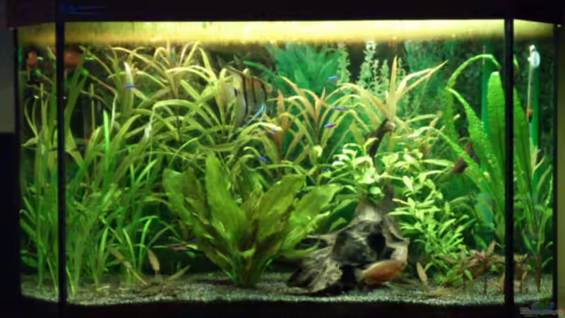 letzter Stand am 11.12.2012 von Stephan Groß (2)