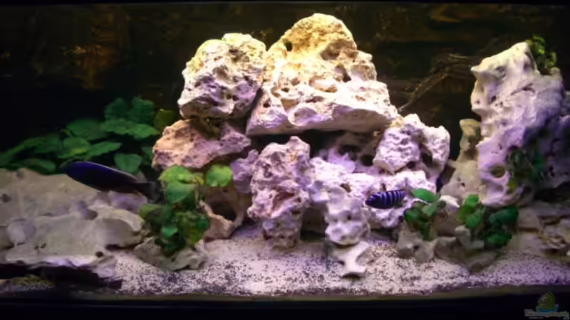 letzter Umbau 27.05.2007 von Dominic Zuccarelli (6)