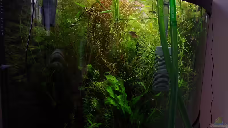 Letztes Bild von Nobody (42)