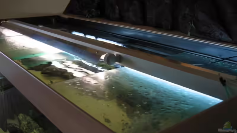 Leuchtbalken 2 x 80 Watt von Ferdinand Aichinger (17)