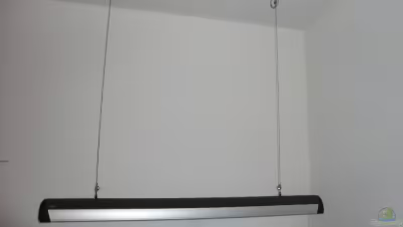 Leuchtbalken von GLO,1x 54 W Leuchtröhre von Malawi TOM (35)