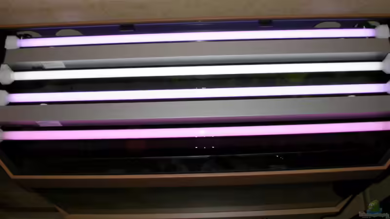 Leuchtbalken von Susanne Schmohl (29)