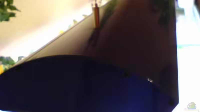 Leuchte von links von Andrea Linge (6)