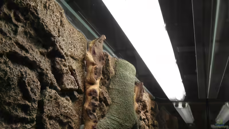 Leuchte von unten, was den ´abgehängten´ Zustand gut darstellt von Tom G. (15)