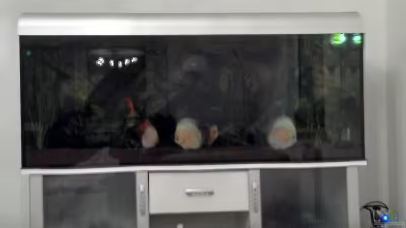 Leuchten sogar wenns Licht aus ist von Alexander Paulus (14)