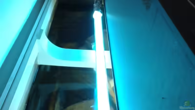 Leuchtstoffröhre mit Farbrohr von Andreas Zimmermann (12)