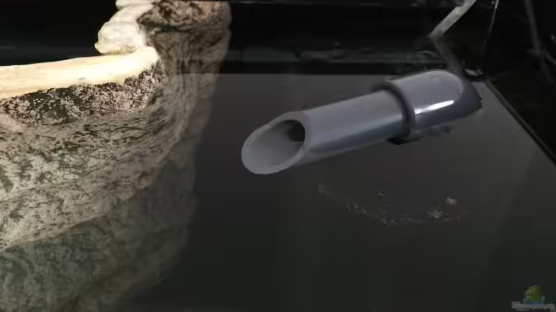 LH 2/3 eingetaucht von Branjo (30)