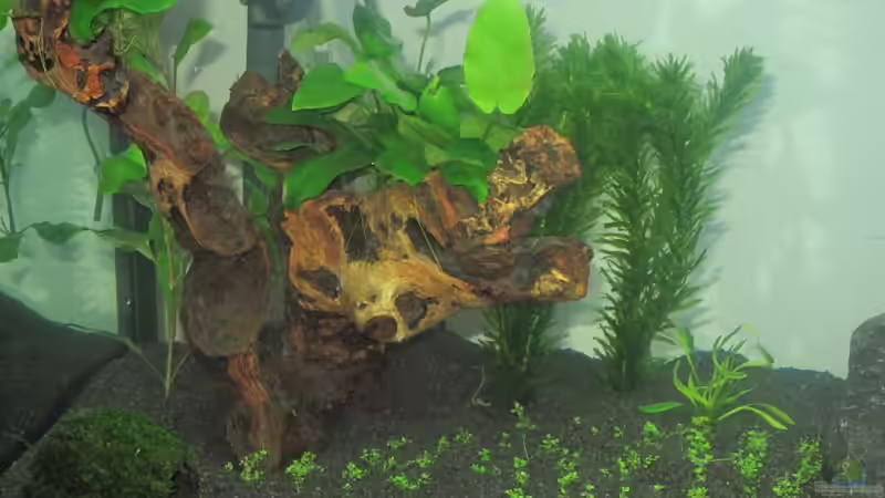 Li. Seite von Tanja (6)