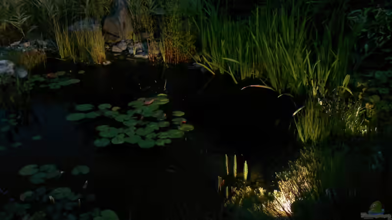 Licht aus - Spot an! von Sambia (12)