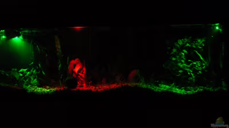 Licht aus Spot an von Oliver Czaika (14)