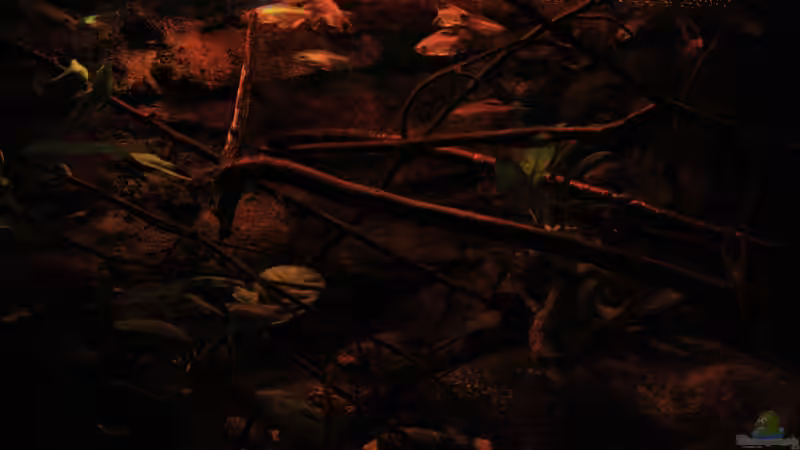 Licht im Becken hier Sonnenaufgang mit Lumlight von Florian Bandhauer (13)