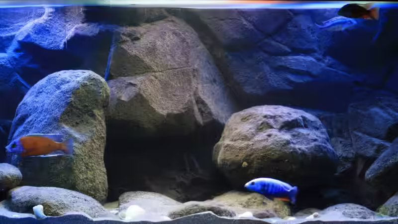 Licht Simulation, fast die Tagesstärke erreicht!!! von Florian Bandhauer (4)