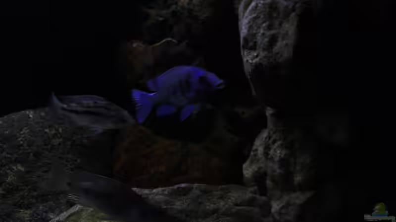 Licht und Schatten von Florian Bandhauer (25)