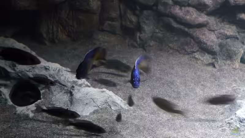 Licht und Schattenzonen von DER YBBSTALER (22)