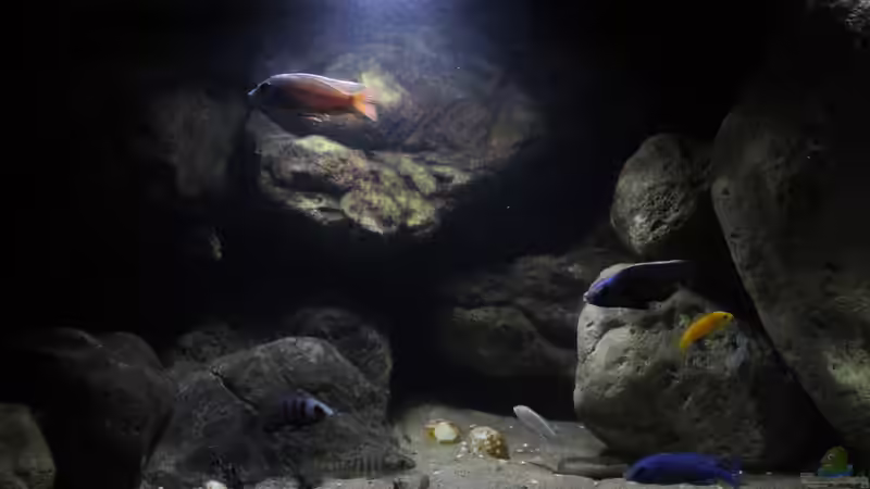 Licht und Schattenzonen von Florian Bandhauer (37)