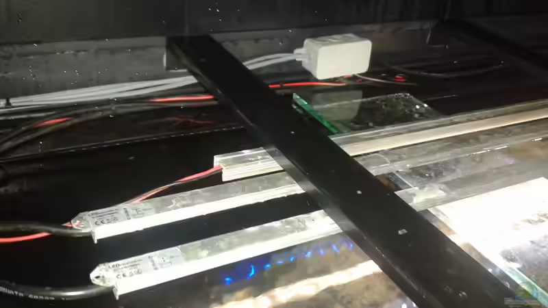 Licht und Verteilung von freezer2510 (17)