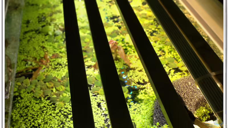 Licht von hotwheelz (26)