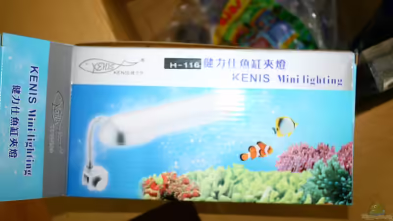 Licht von tobsen (5)