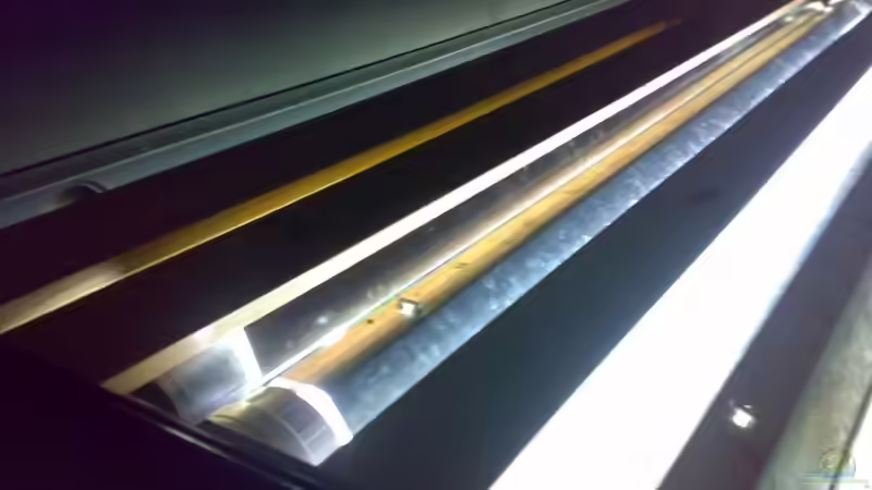 Lichtanlage von Sven Kaussow (3)