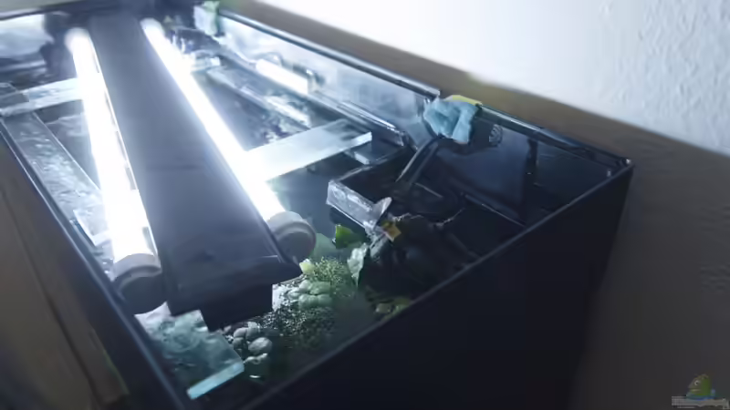 Lichtbalken, LED Mondlicht und Innenfilteranlage von oben von Pflanzennarr (29)