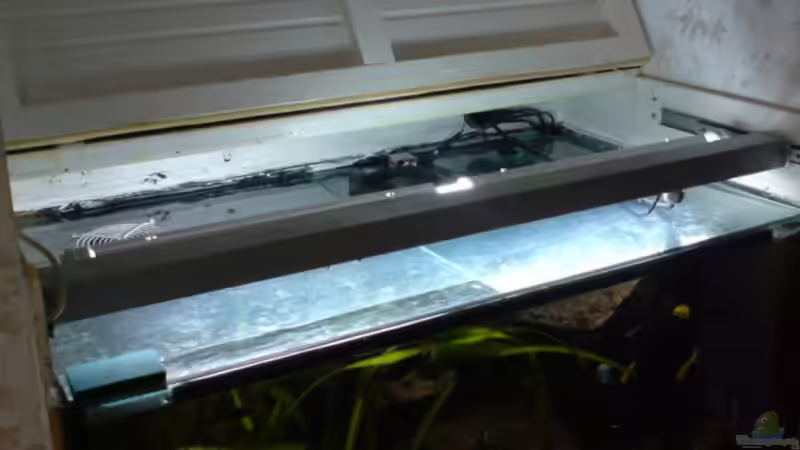 Lichtbalken in Betriebsposition von timme (38)