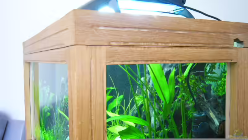 Lichtbalken von Oliver Gursky (11)