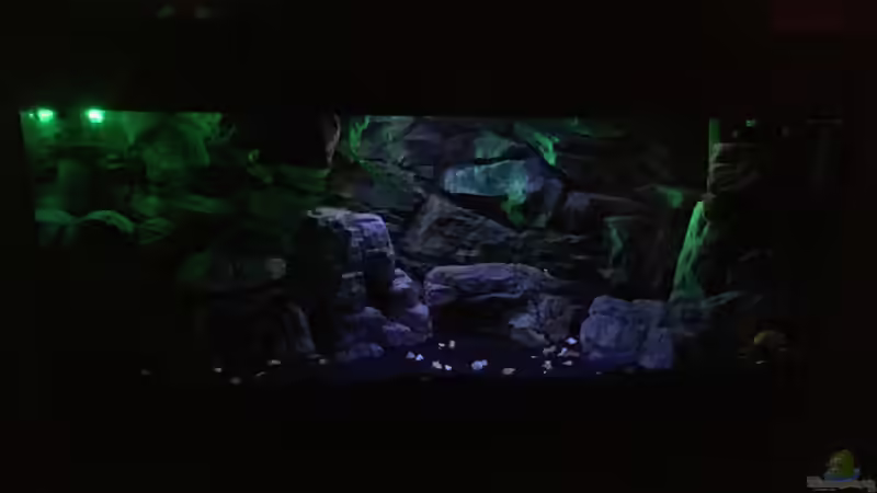 Lichteffekt von Daniel H. (23)