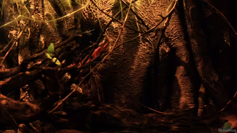 Lichteffekte mit der neuen LED-Beleuchtung! von Florian Bandhauer (11)