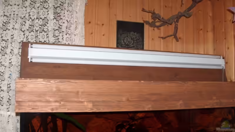 Lichteinbau von Monika Thiele (4)