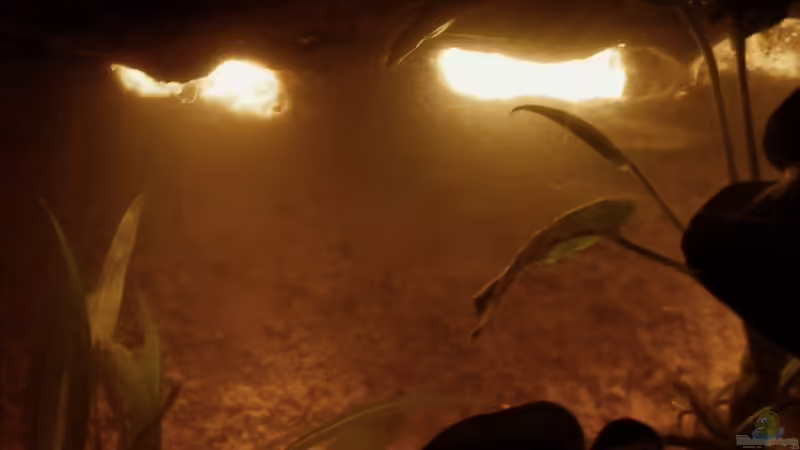 Lichteinfall zentral von Falk (8)