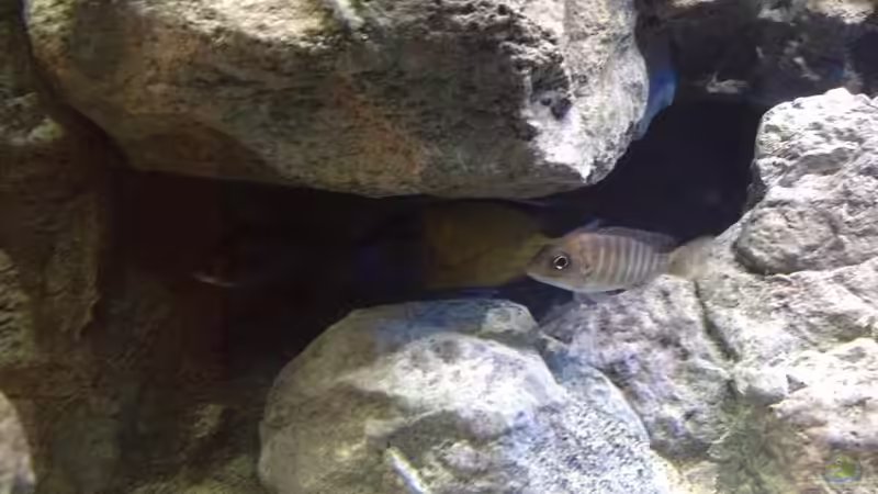 Lichteinstellung mit den Bewohnern. von Tobias Sch. (28)