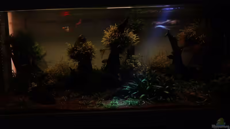 Lichtexperimente von ManiacXL (25)