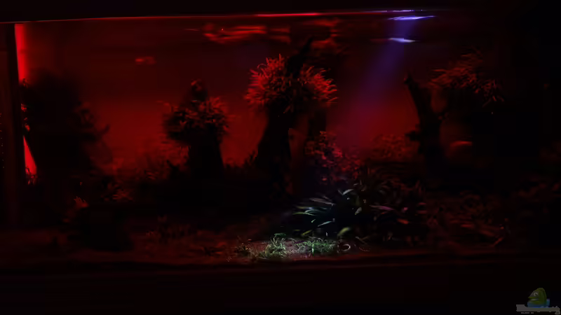 Lichtexperimente von ManiacXL (26)