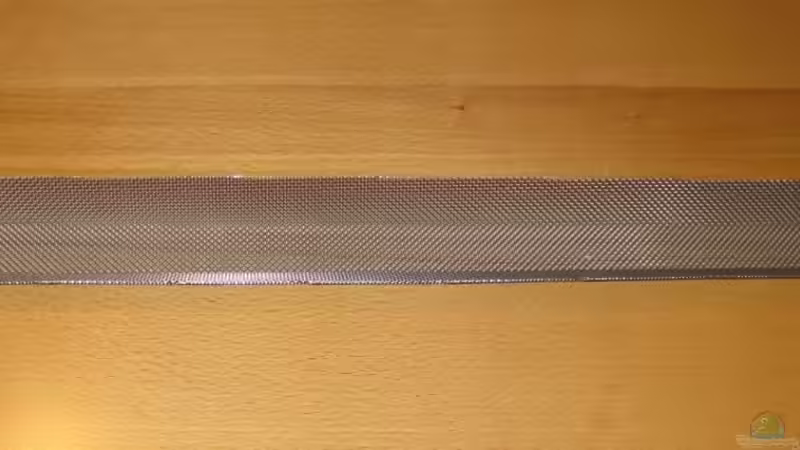 Lichtfang von HessiJames (16)