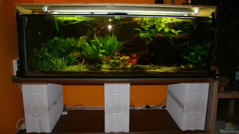 Lichtkasten mit abnehmbarer Blende zum Füttern von Minzi (3)