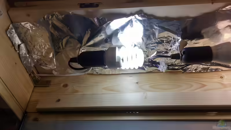 Lichtkasten von KleinerPlaty (23)