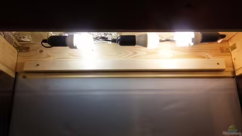 Lichtkasten von KleinerPlaty (24)