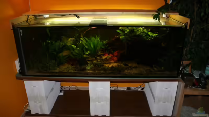 Lichtkasten zur Hälfte geöffnet von Minzi (4)