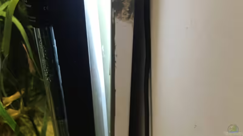 Lichtkasten(Acrylglas, grüngestrichene Leinwand und LED-Streifen von JonnyGranato (13)