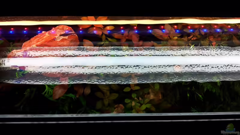 Lichtspiel von Ferbi (27)