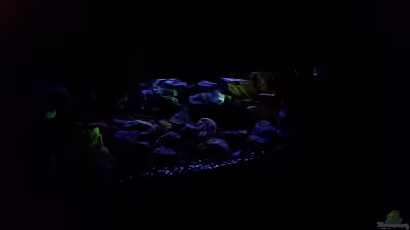 Lichtspiele bei Nacht von Daniel H. (27)