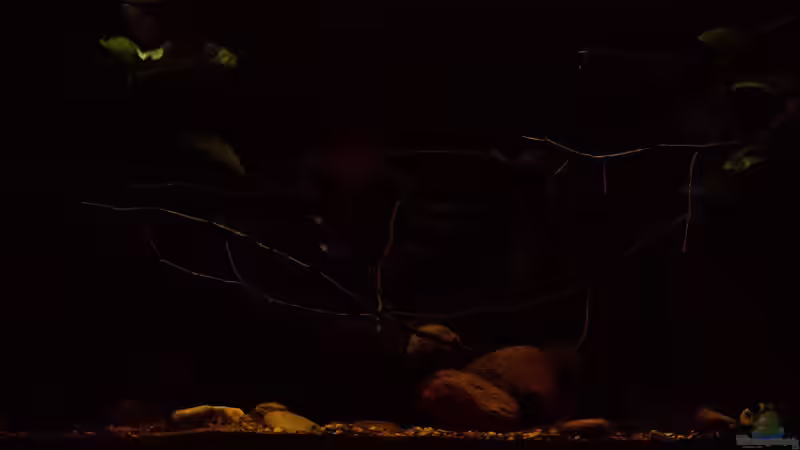 Lichtstimmung Südamerika .. von AjakAndi (2)